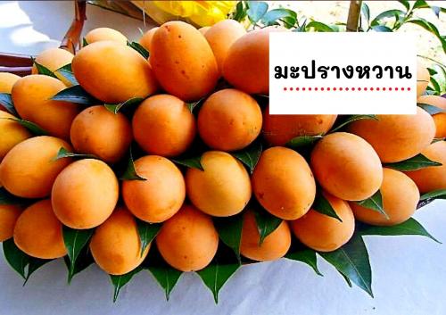 มะปรางหวาน